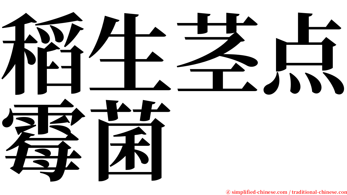 稻生茎点霉菌 serif font