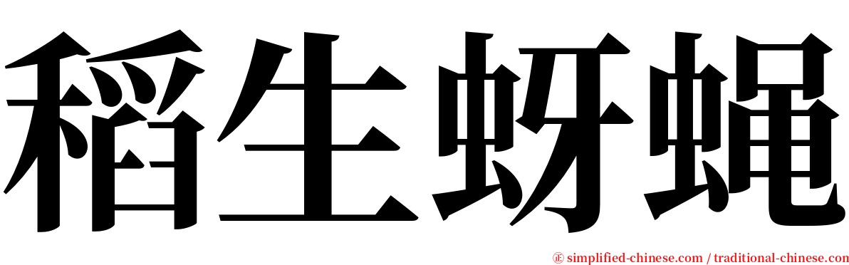 稻生蚜蝇 serif font