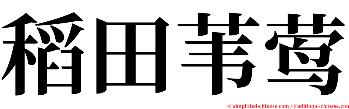 稻田苇莺 serif font