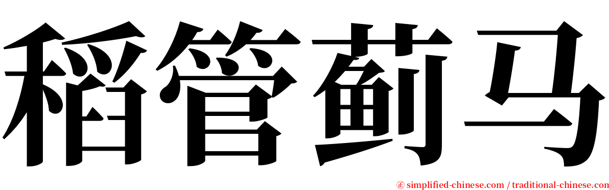 稻管蓟马 serif font