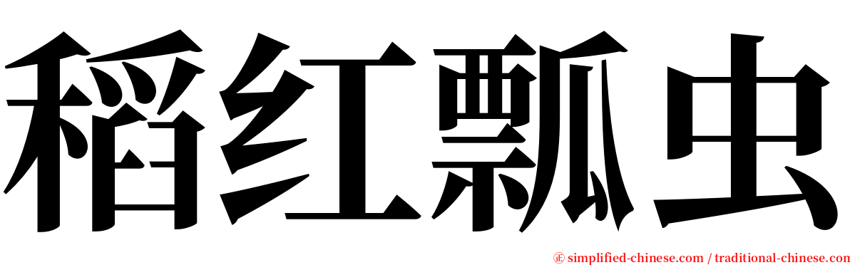 稻红瓢虫 serif font