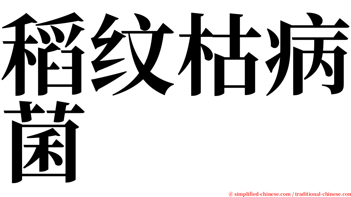 稻纹枯病菌 serif font