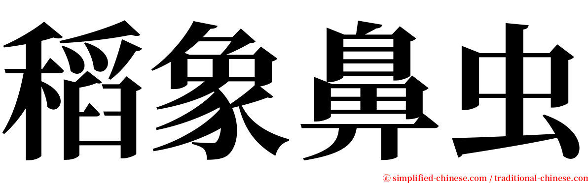 稻象鼻虫 serif font