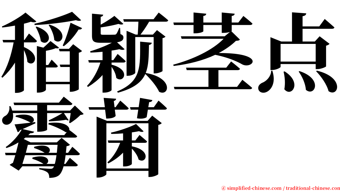 稻颖茎点霉菌 serif font