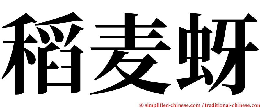 稻麦蚜 serif font