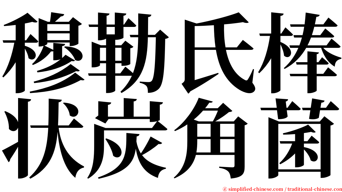 穆勒氏棒状炭角菌 serif font