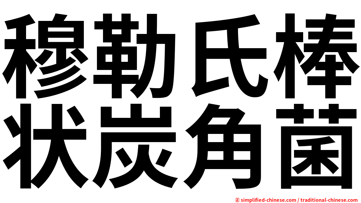 穆勒氏棒状炭角菌