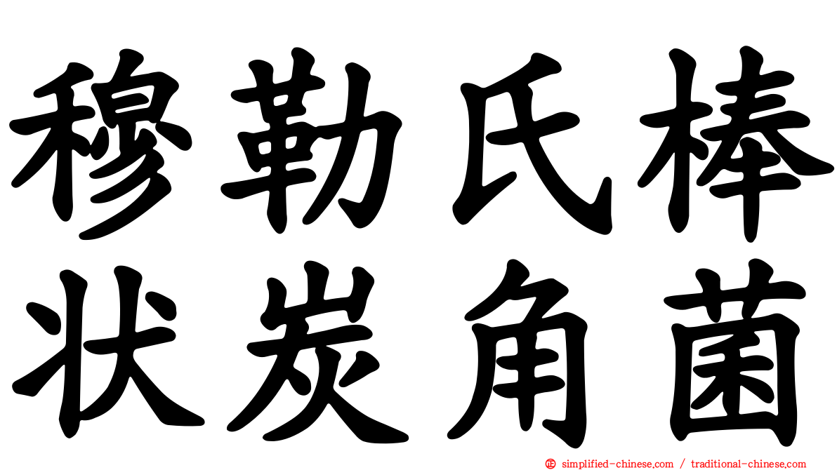 穆勒氏棒状炭角菌