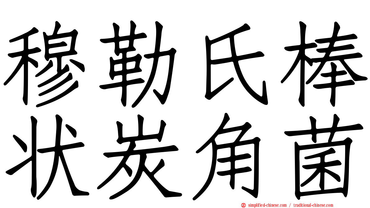 穆勒氏棒状炭角菌