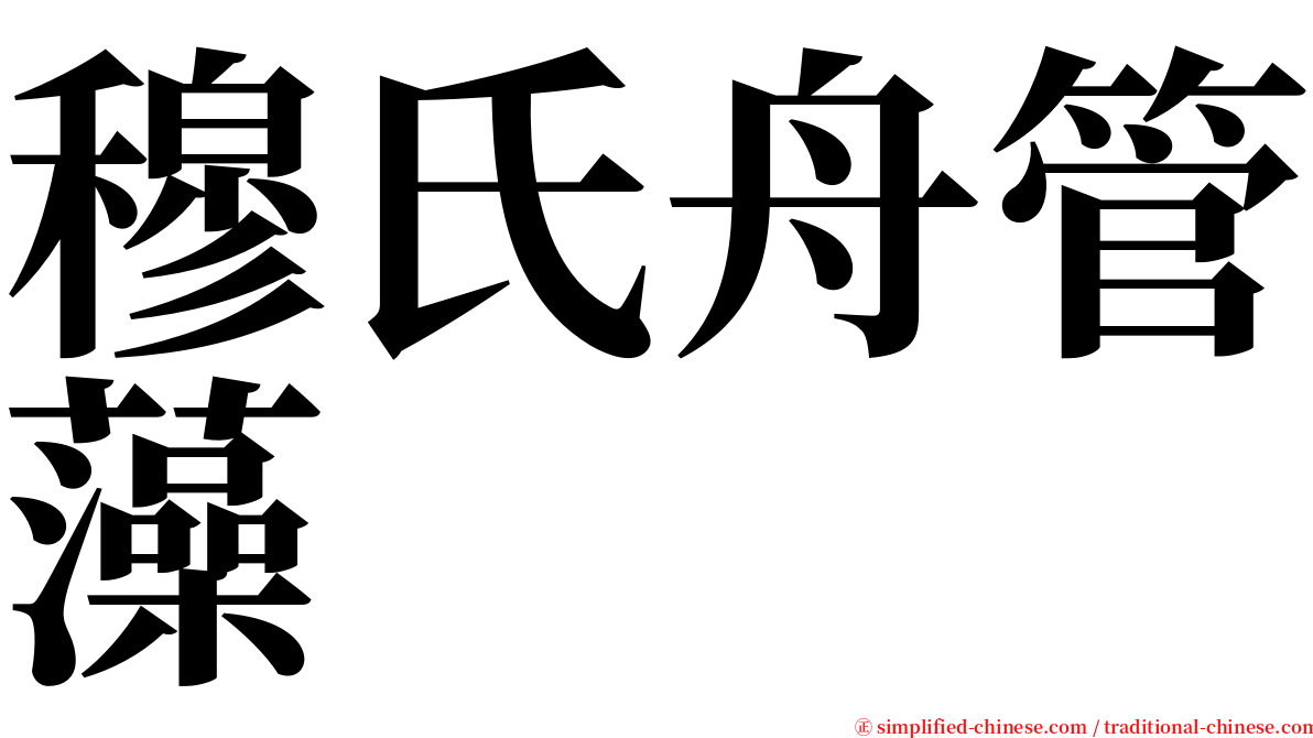 穆氏舟管藻 serif font