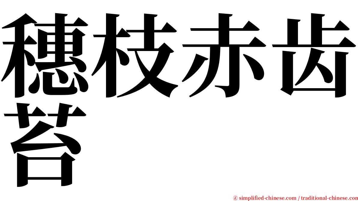 穗枝赤齿苔 serif font