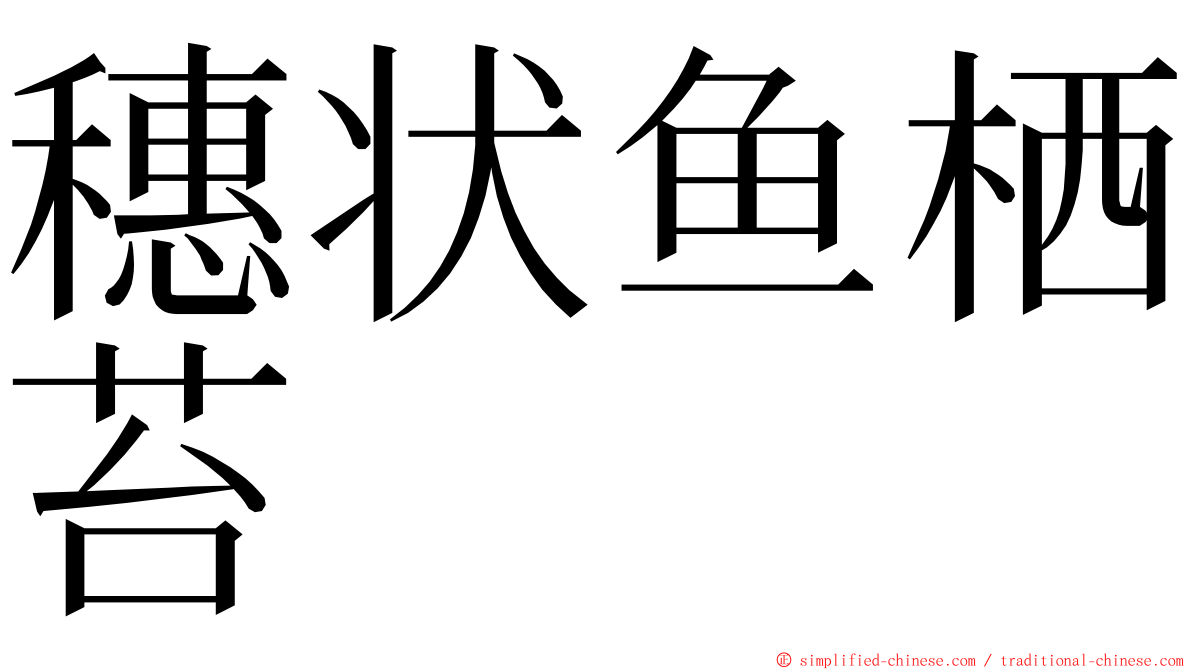 穗状鱼栖苔 ming font