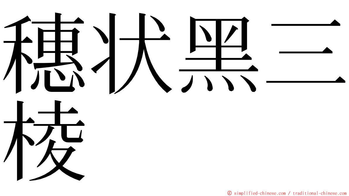 穗状黑三棱 ming font