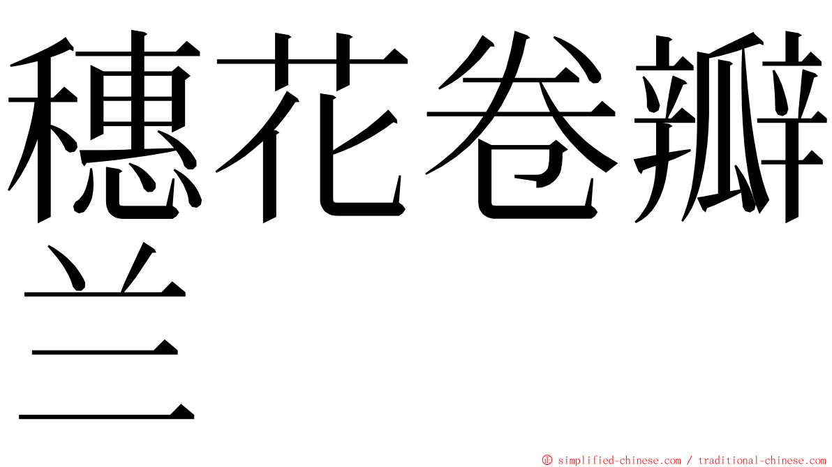 穗花卷瓣兰 ming font