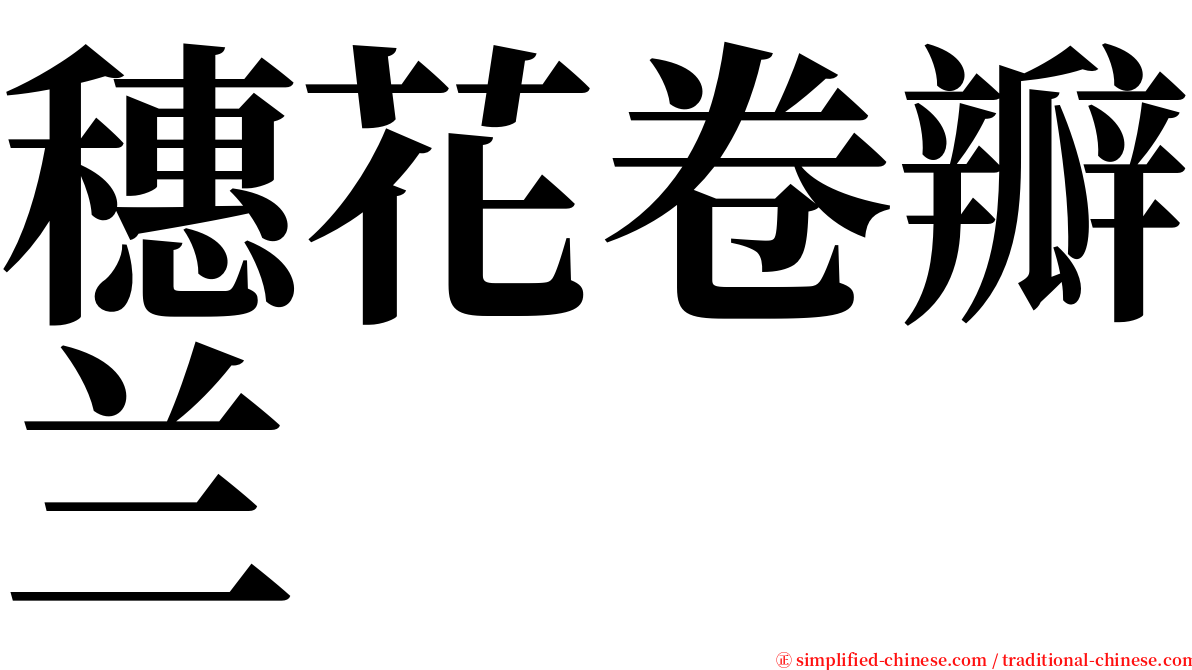 穗花卷瓣兰 serif font