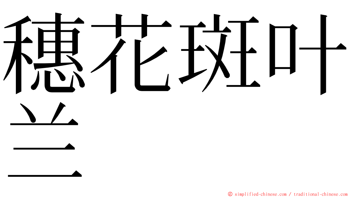 穗花斑叶兰 ming font