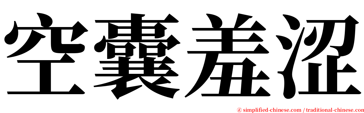 空囊羞涩 serif font