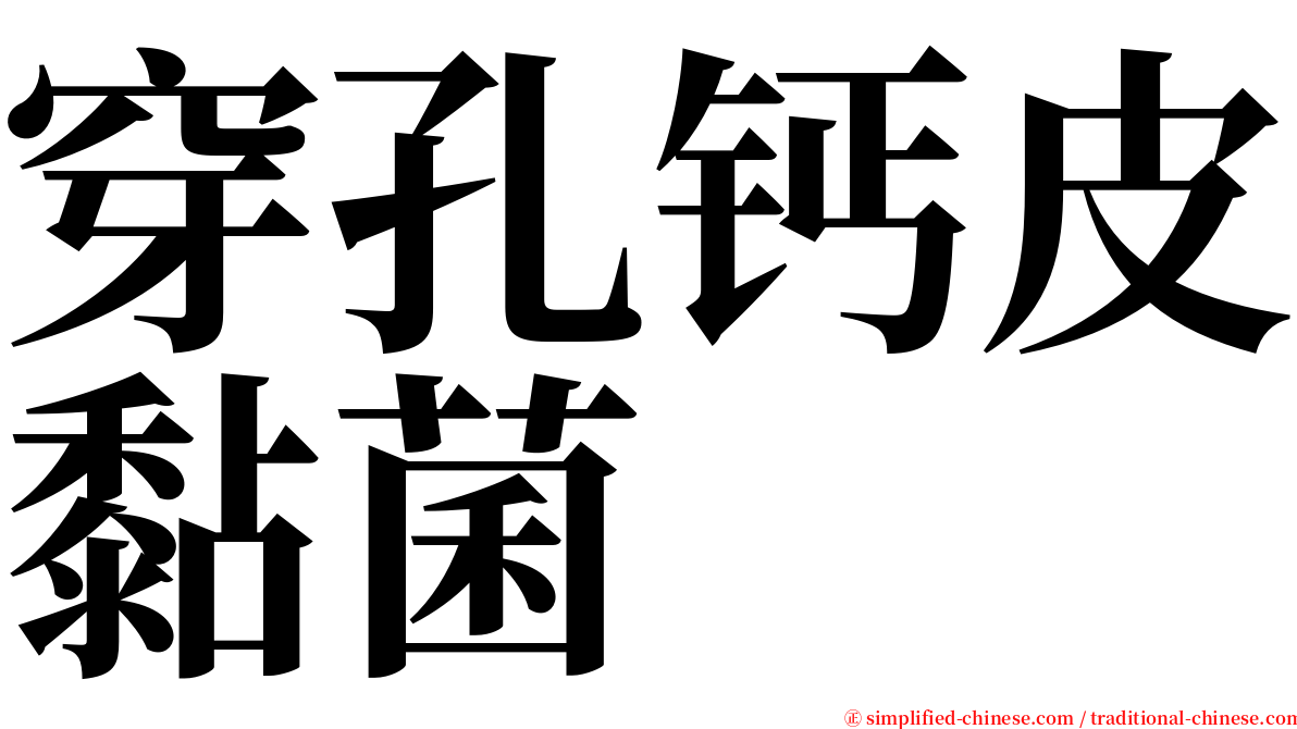 穿孔钙皮黏菌 serif font