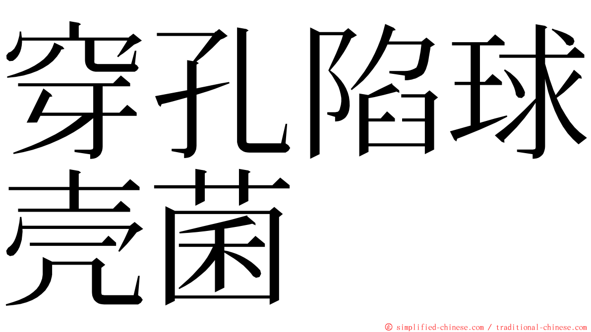 穿孔陷球壳菌 ming font