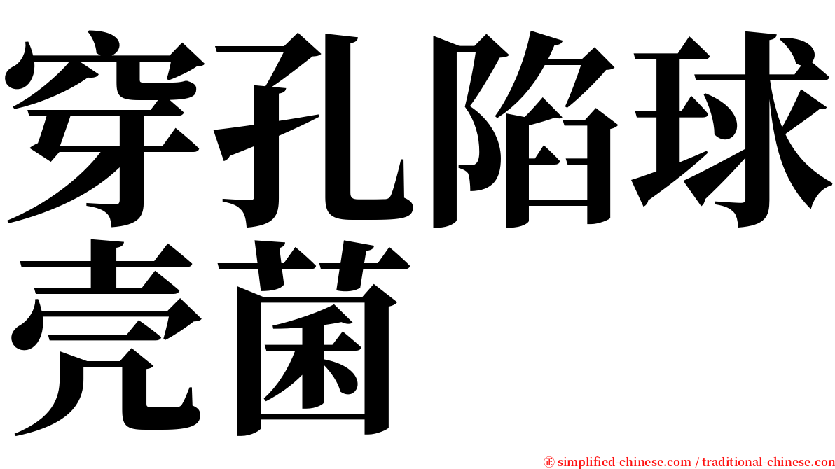 穿孔陷球壳菌 serif font