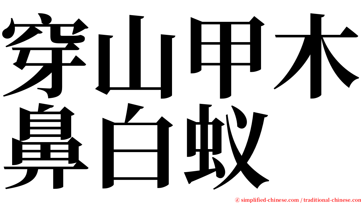 穿山甲木鼻白蚁 serif font