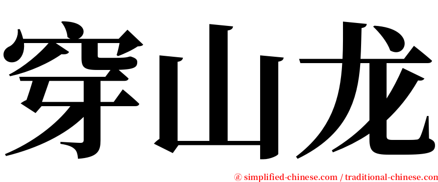 穿山龙 serif font