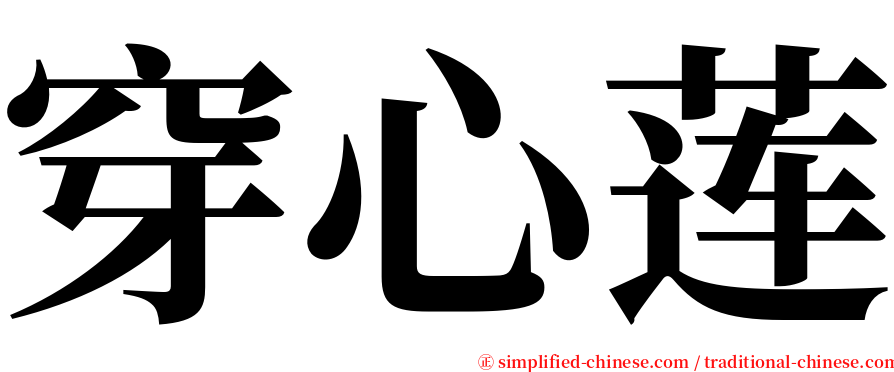 穿心莲 serif font