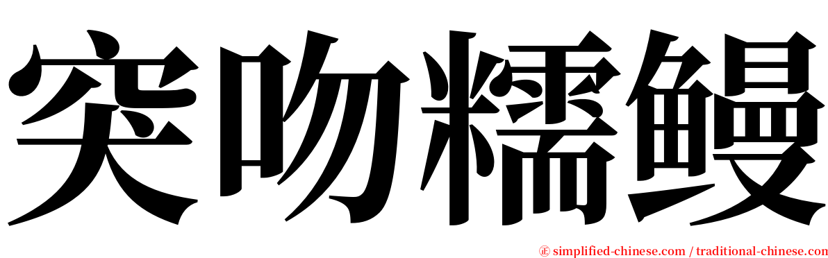 突吻糯鳗 serif font