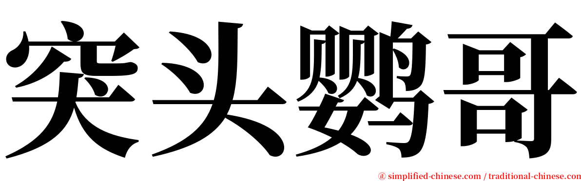 突头鹦哥 serif font