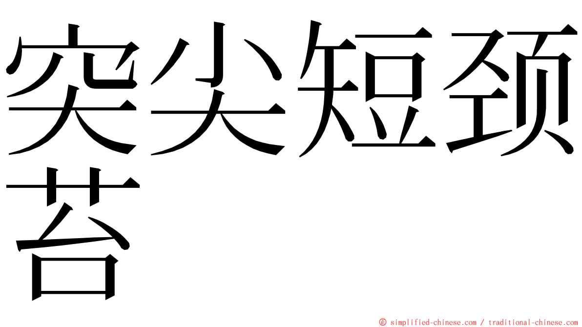 突尖短颈苔 ming font