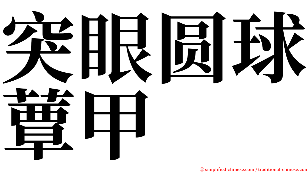 突眼圆球蕈甲 serif font