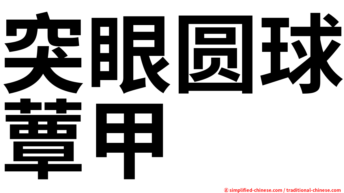 突眼圆球蕈甲