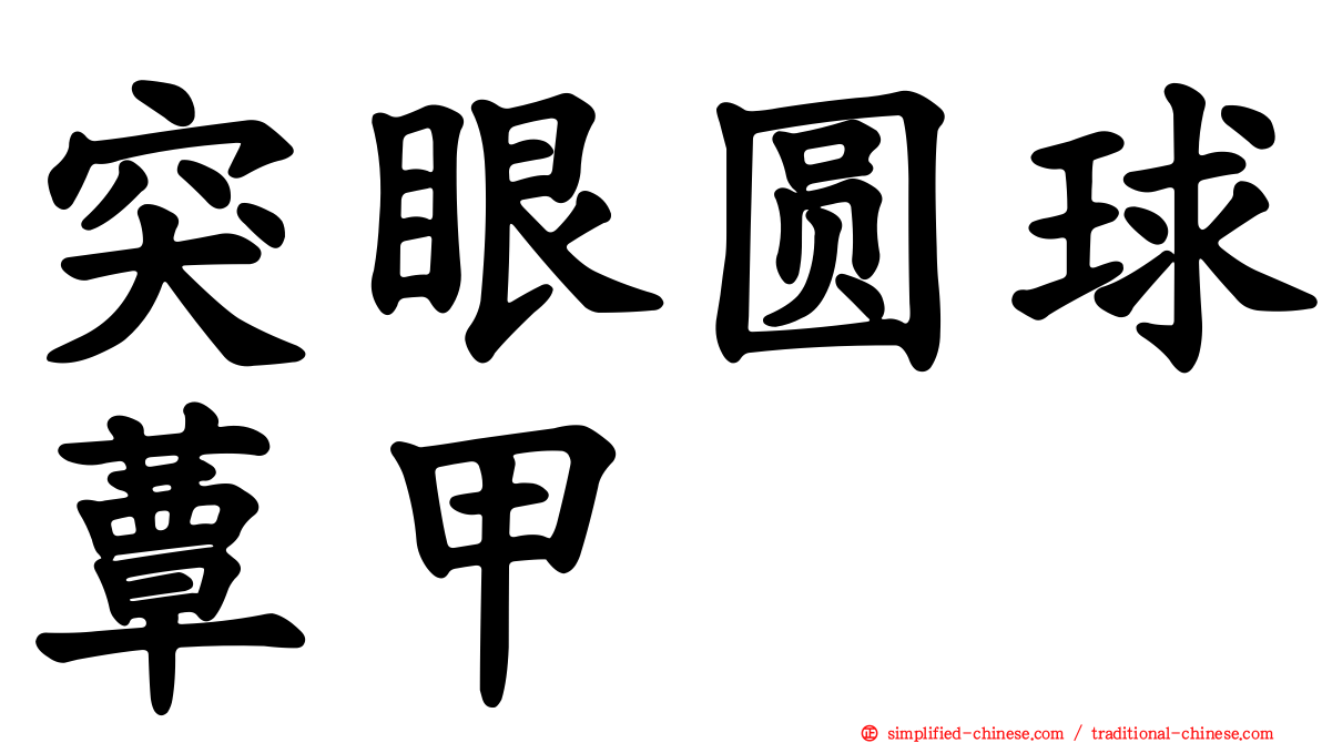 突眼圆球蕈甲