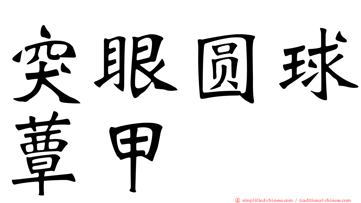 突眼圆球蕈甲