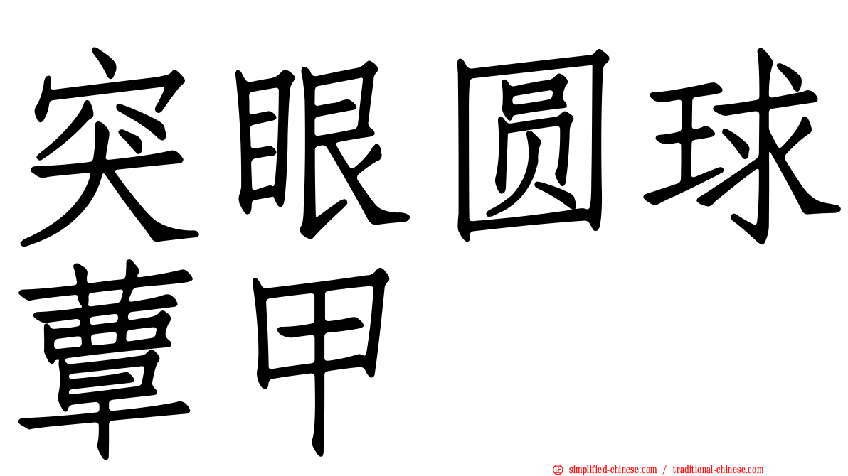 突眼圆球蕈甲