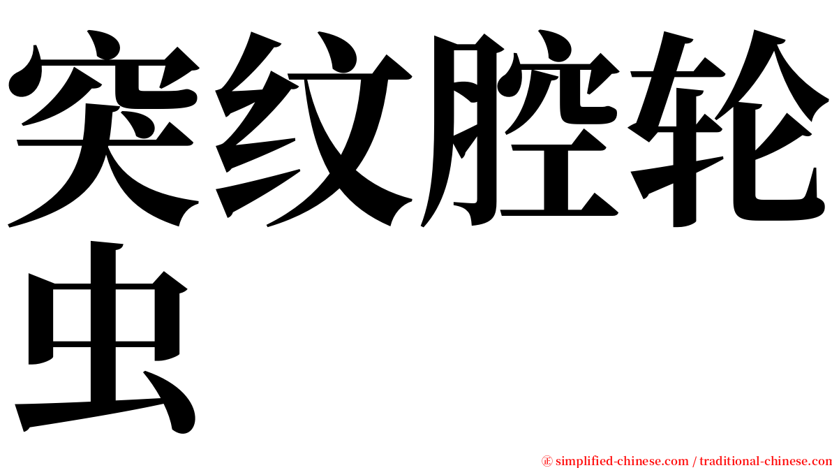 突纹腔轮虫 serif font