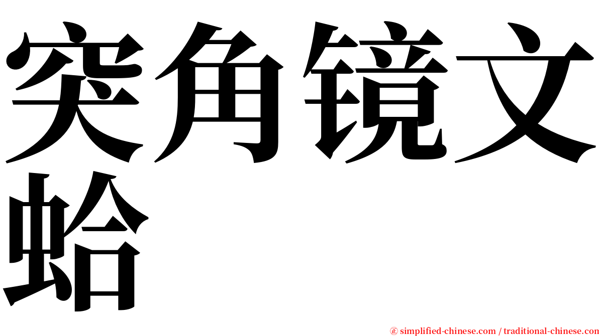 突角镜文蛤 serif font