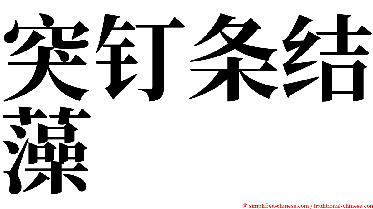 突钉条结藻 serif font