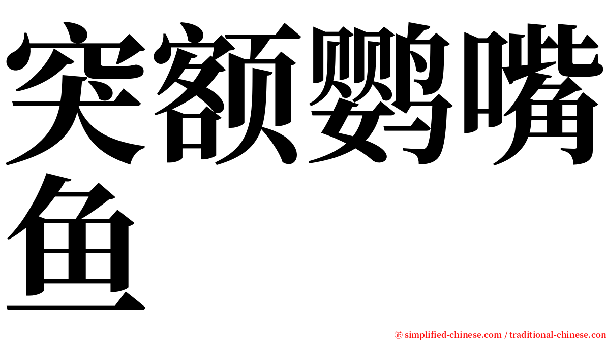 突额鹦嘴鱼 serif font