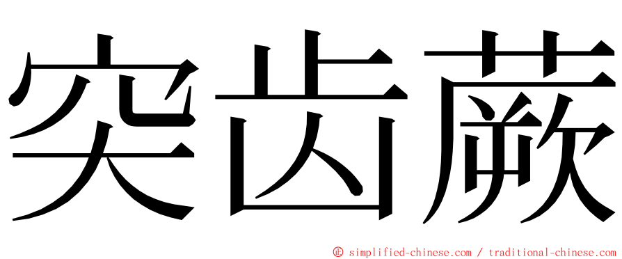 突齿蕨 ming font