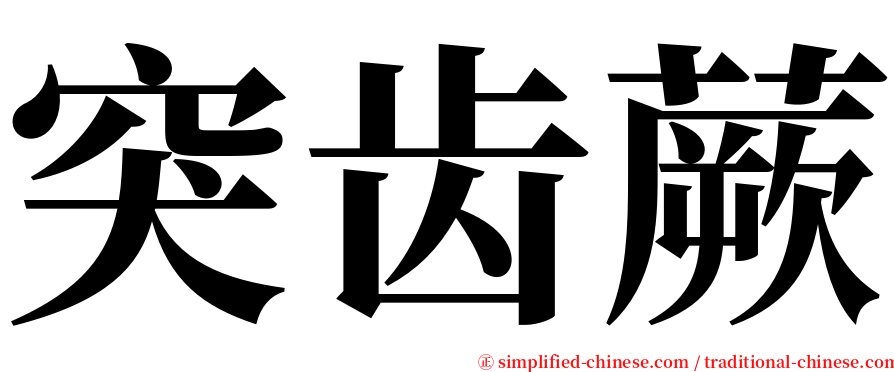 突齿蕨 serif font