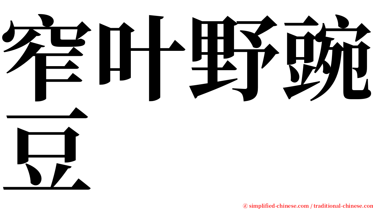 窄叶野豌豆 serif font