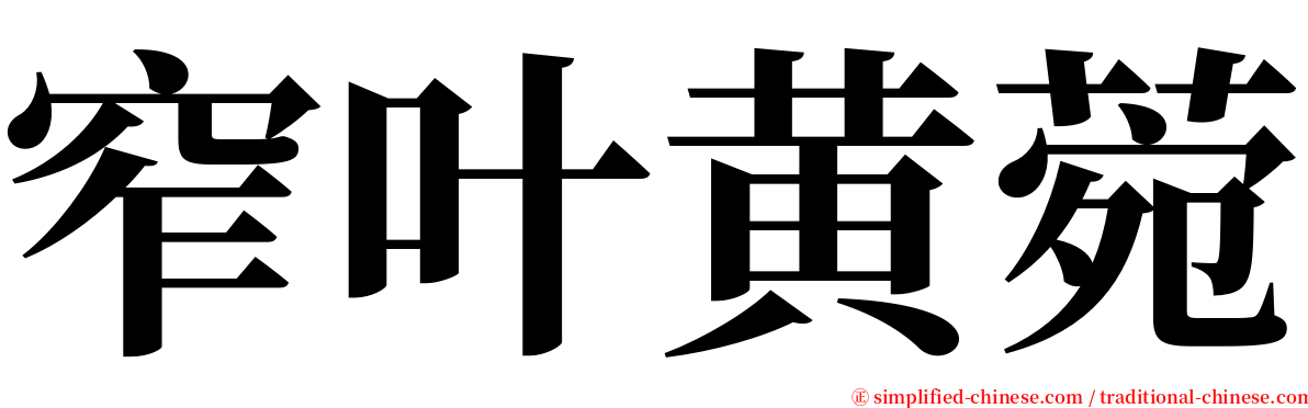 窄叶黄菀 serif font