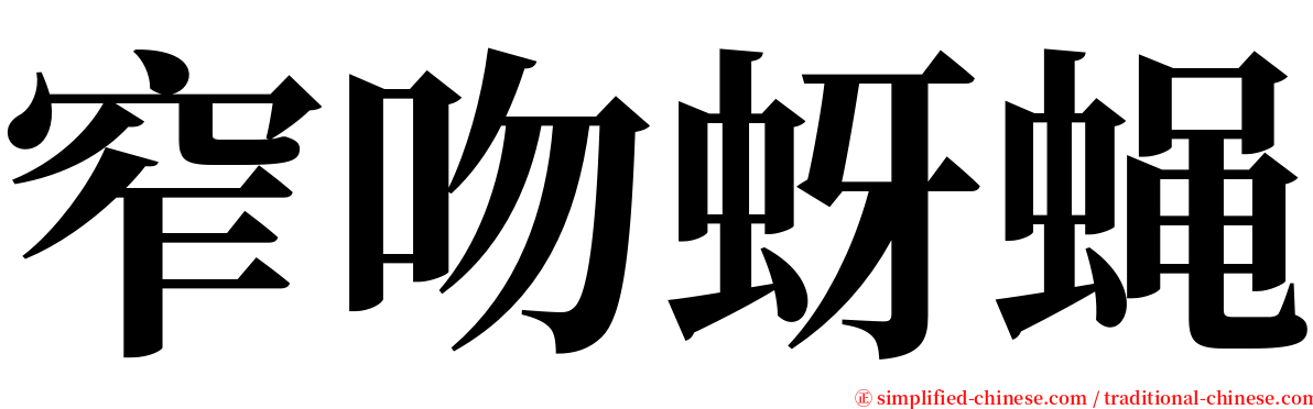 窄吻蚜蝇 serif font