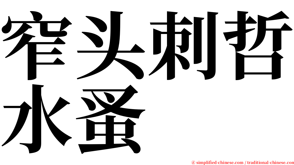 窄头刺哲水蚤 serif font