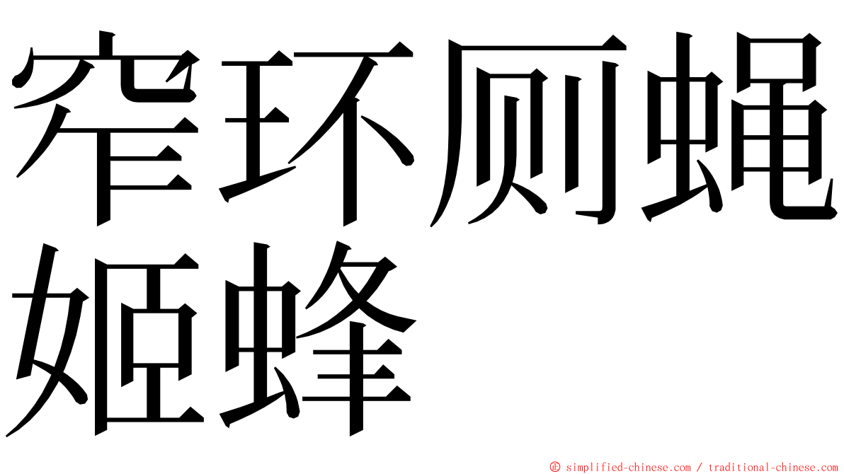 窄环厕蝇姬蜂 ming font