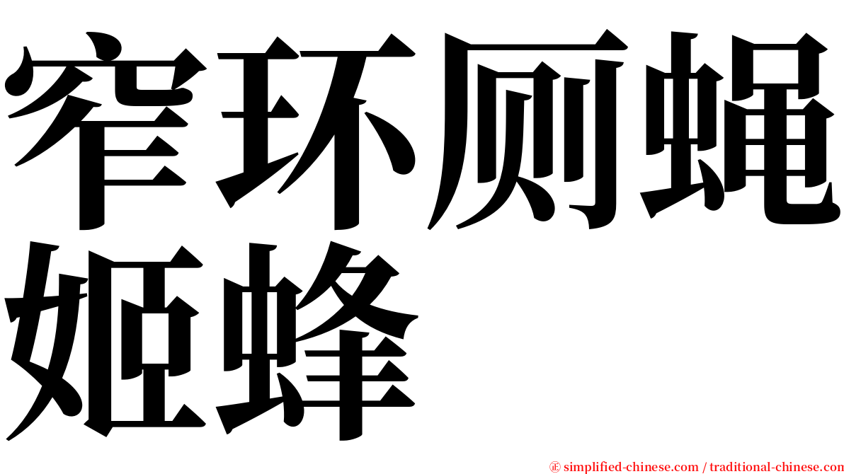 窄环厕蝇姬蜂 serif font