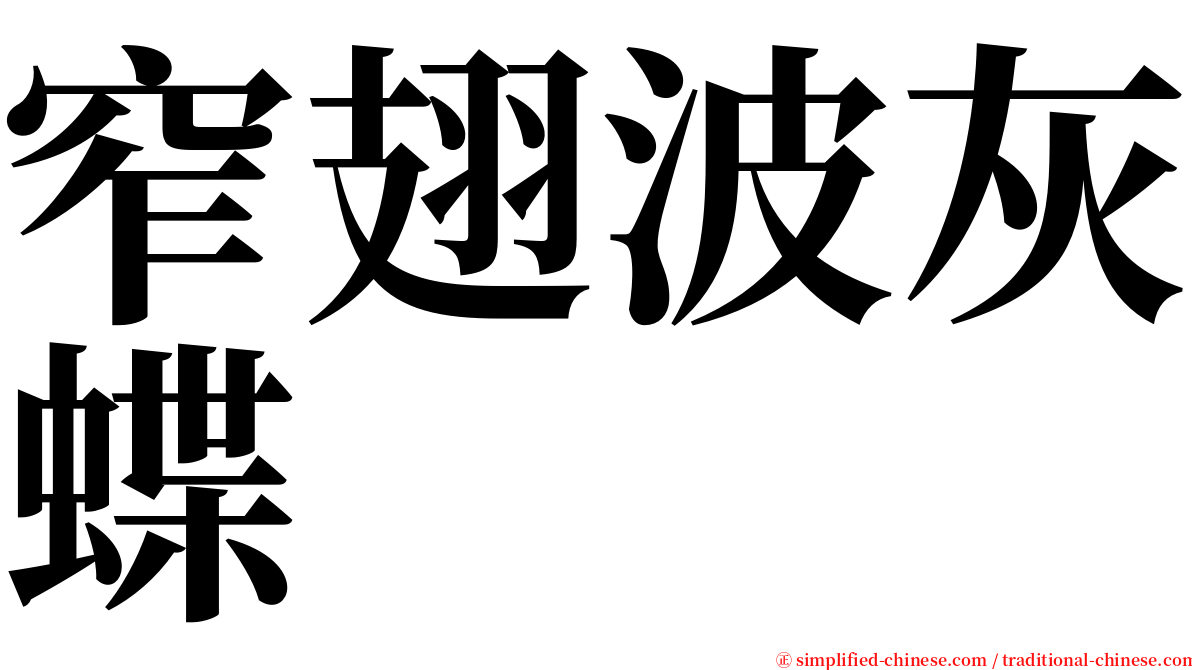 窄翅波灰蝶 serif font