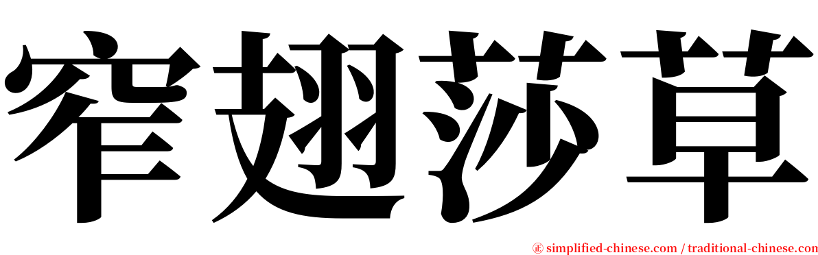 窄翅莎草 serif font