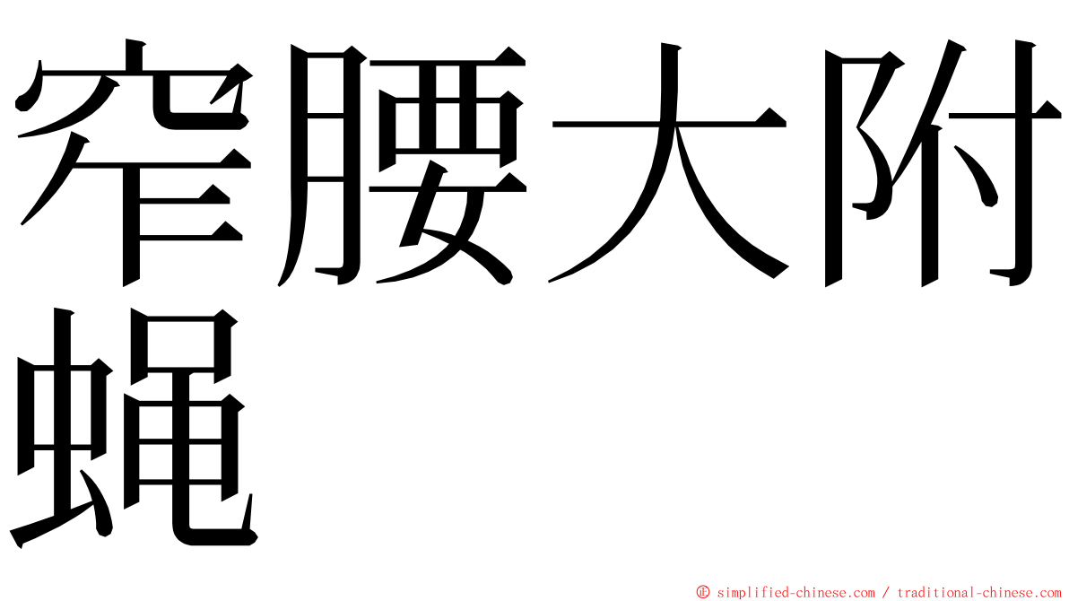 窄腰大附蝇 ming font